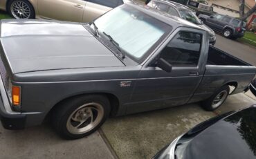 Chevy-s10-1989-grey-2