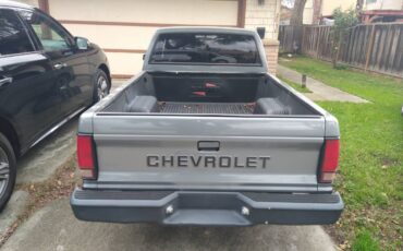 Chevy-s10-1989-grey-3