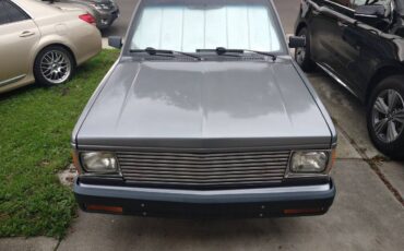 Chevy-s10-1989-grey