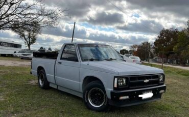 Chevy-s10-pickup-1990-grey-1