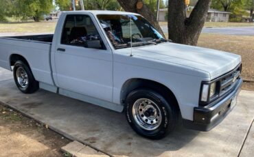 Chevy-s10-pickup-1990-grey-3