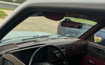 Chevy-s10-pickup-1990-grey-4