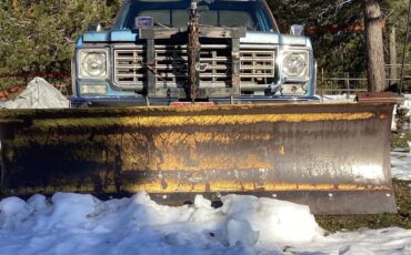 Chevy-scottsdale-1976-1