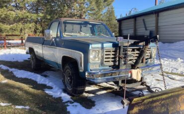 Chevy-scottsdale-1976