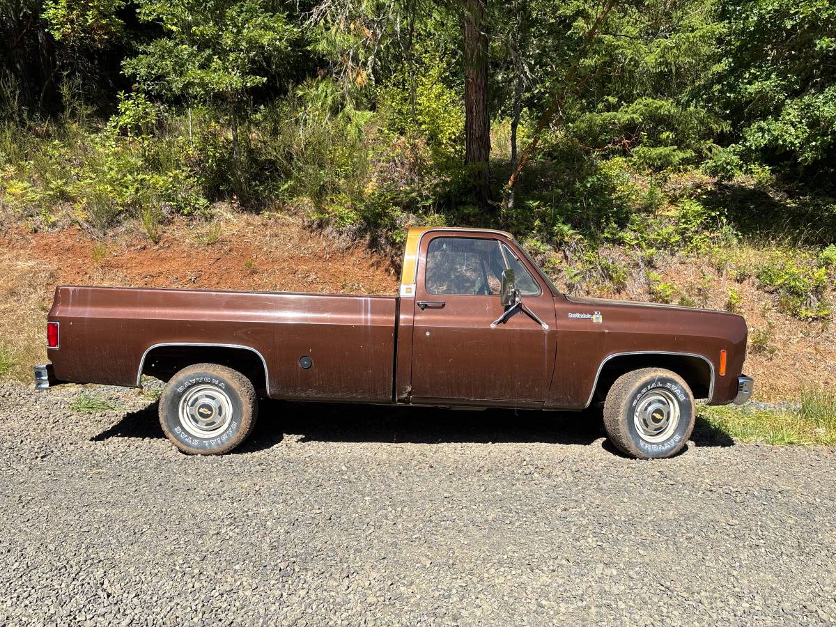Chevy-scottsdale-1978-brown-1