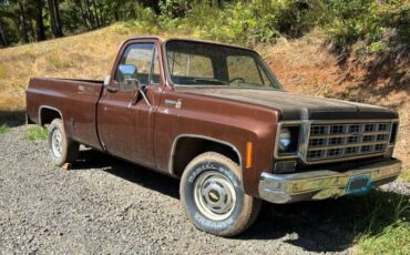 Chevy-scottsdale-1978-brown-12