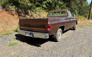Chevy-scottsdale-1978-brown-2