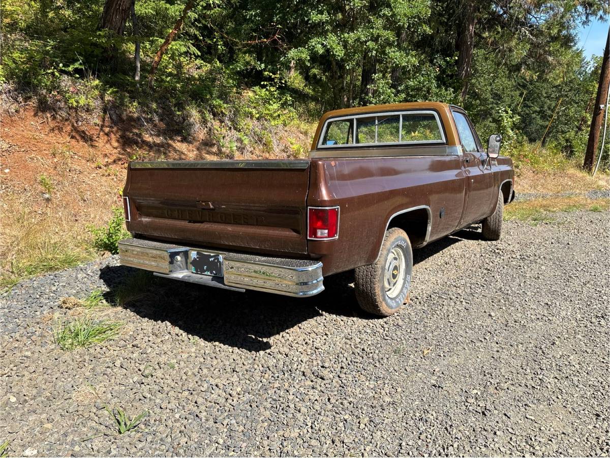 Chevy-scottsdale-1978-brown-2