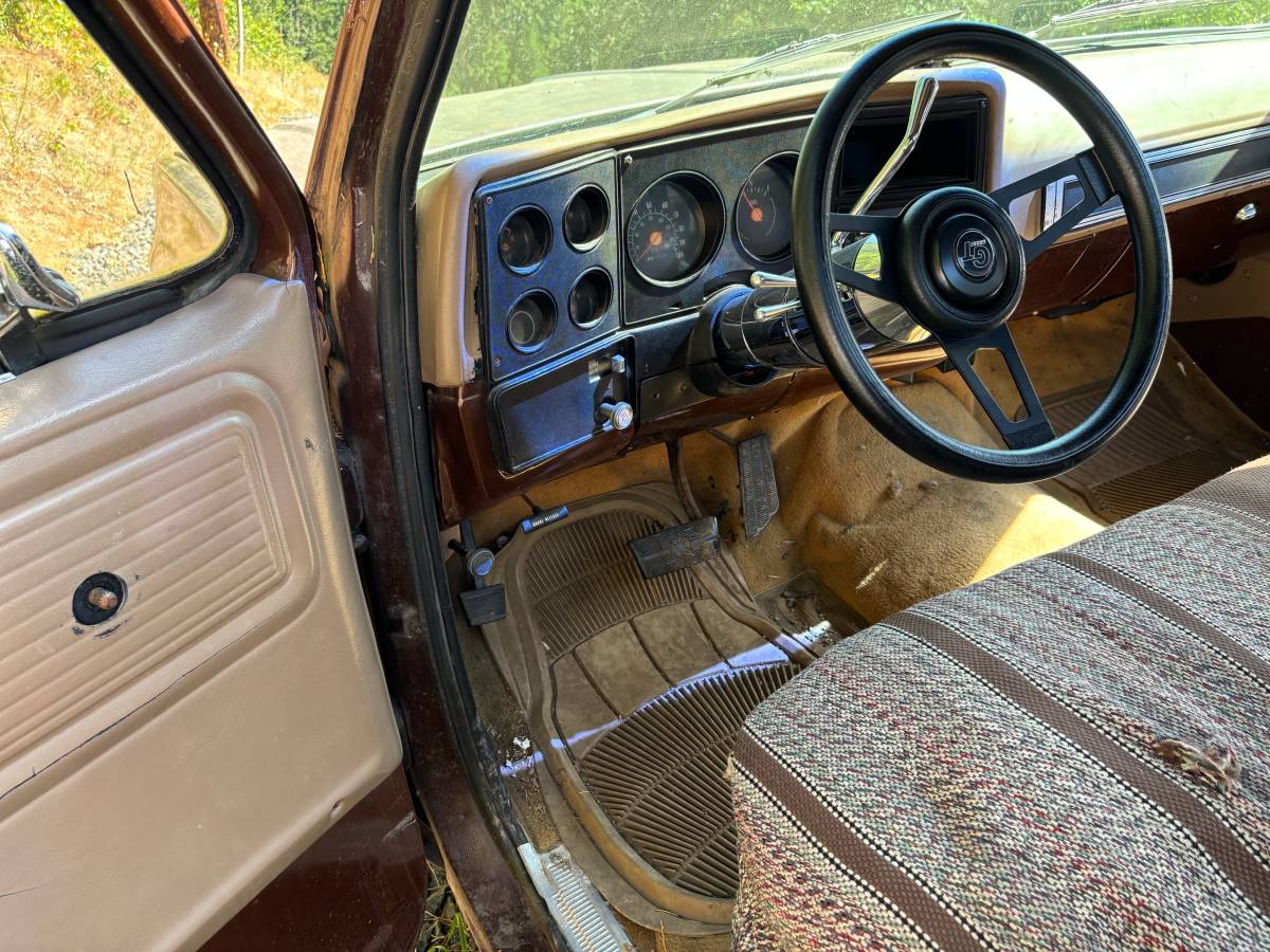 Chevy-scottsdale-1978-brown-3