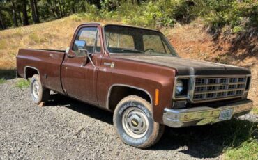 Chevy-scottsdale-1978-brown