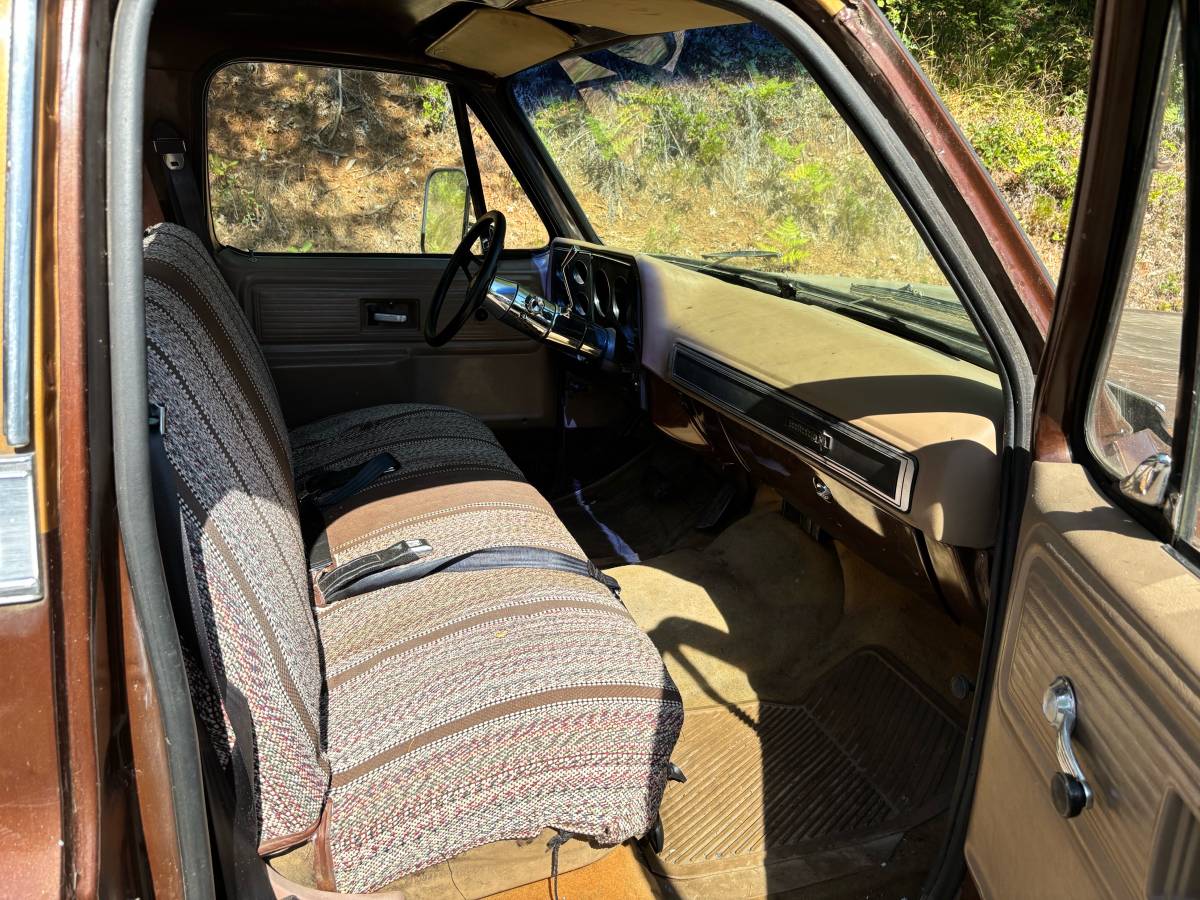 Chevy-scottsdale-1978-brown-4