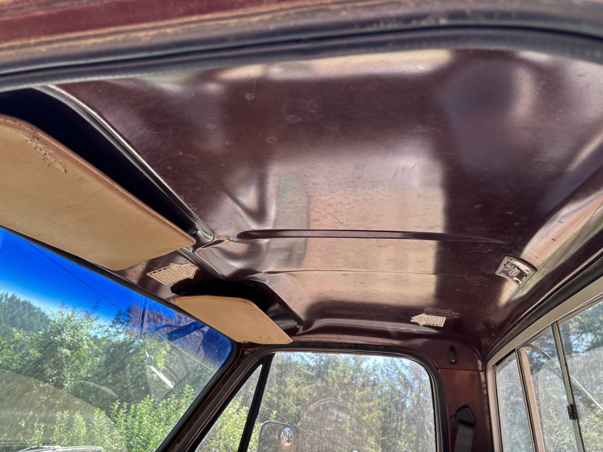 Chevy-scottsdale-1978-brown-5