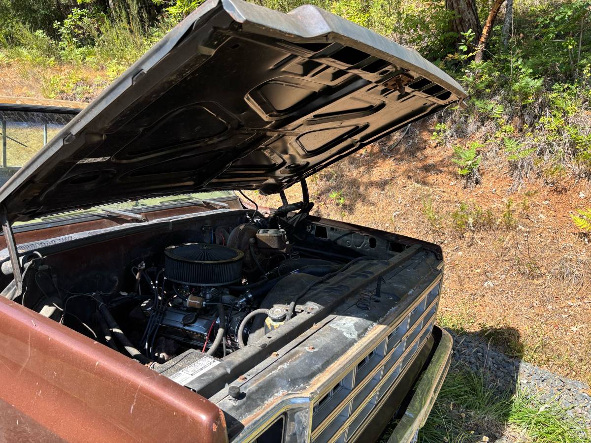 Chevy-scottsdale-1978-brown-6