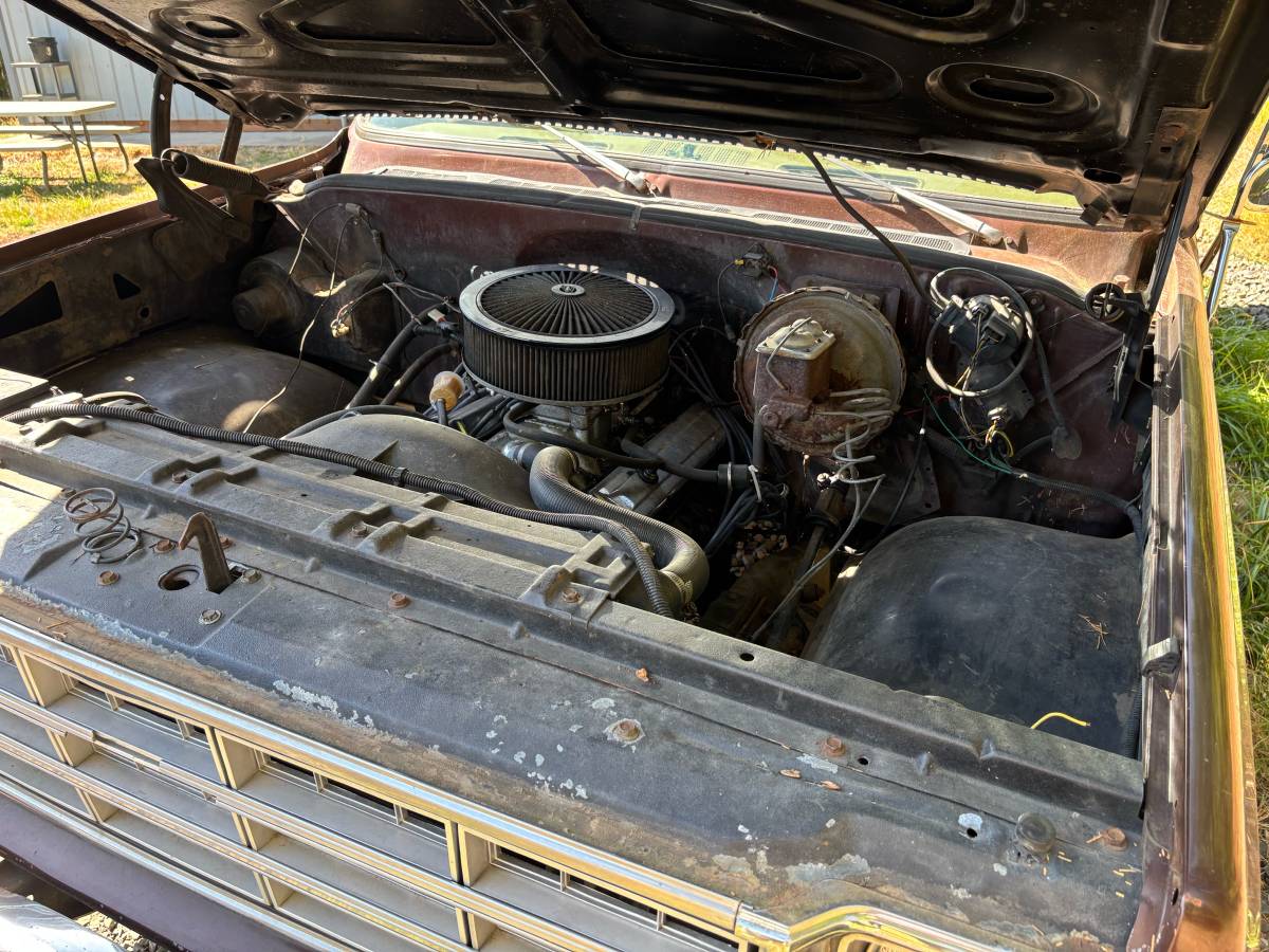 Chevy-scottsdale-1978-brown-7