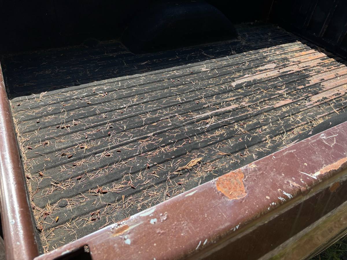 Chevy-scottsdale-1978-brown-9