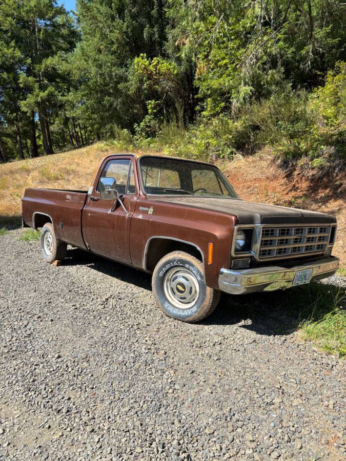Chevy-scottsdale-1978-brown