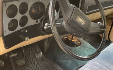 Chevy-scottsdale-20-1983-yellow-2