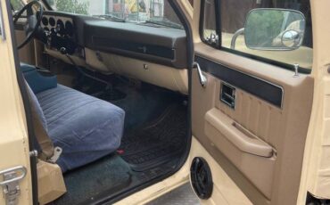 Chevy-scottsdale-20-1983-yellow-3