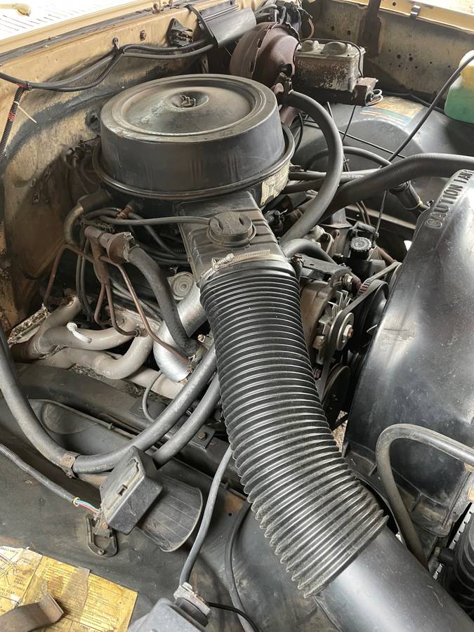 Chevy-scottsdale-20-1983-yellow-4