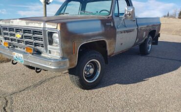 Chevy-scottsdale-k10-1979-grey-15