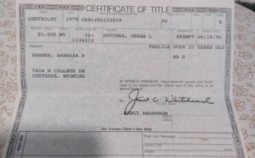 Chevy-scottsdale-k10-1979-grey-20