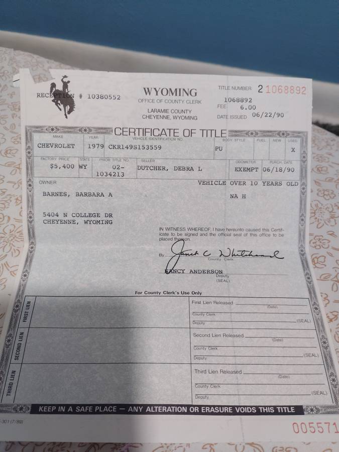 Chevy-scottsdale-k10-1979-grey-20