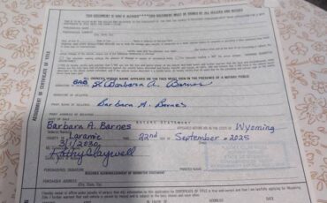 Chevy-scottsdale-k10-1979-grey-21