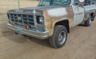 Chevy-scottsdale-k10-1979-grey-22
