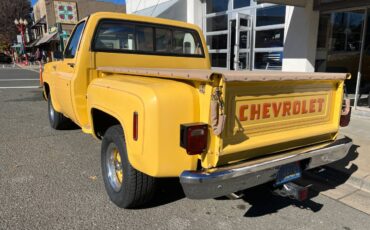Chevy-silverado-1500-1978-10