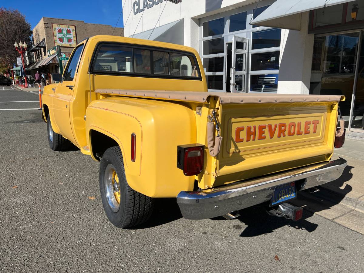 Chevy-silverado-1500-1978-10
