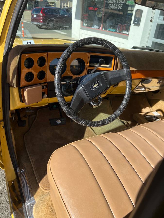 Chevy-silverado-1500-1978-13