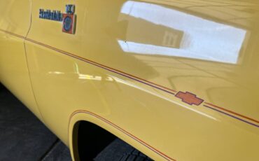 Chevy-silverado-1500-1978-17