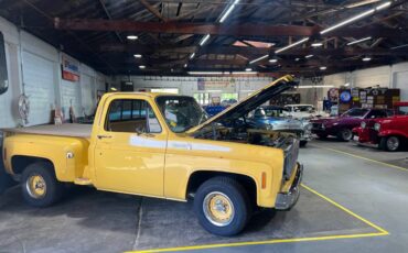 Chevy-silverado-1500-1978-21