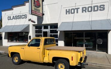 Chevy-silverado-1500-1978-23