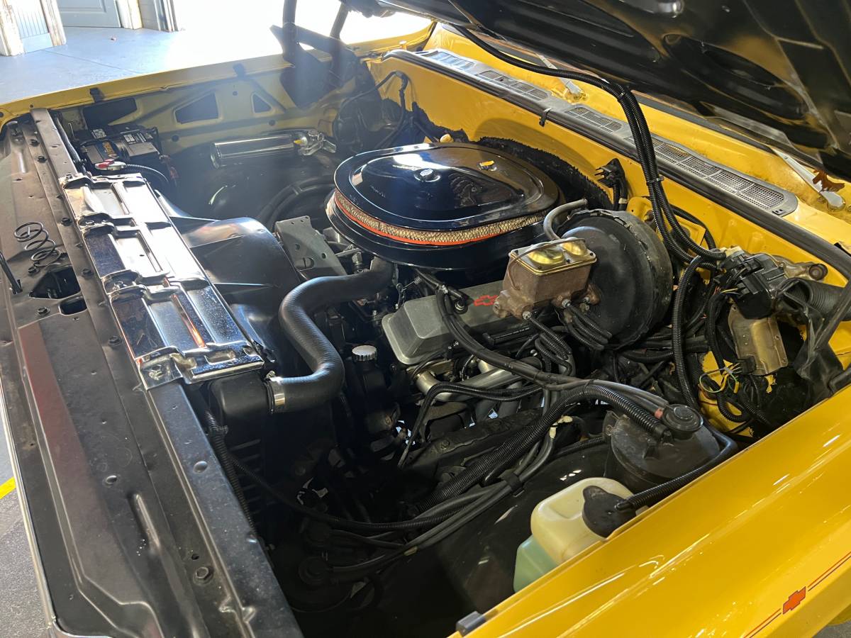 Chevy-silverado-1500-1978-5