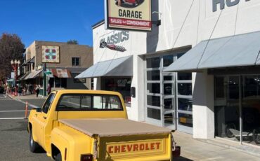 Chevy-silverado-1500-1978-7