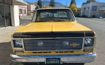 Chevy-silverado-1500-1978-8