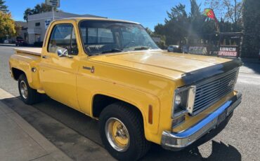Chevy-silverado-1500-1978-9