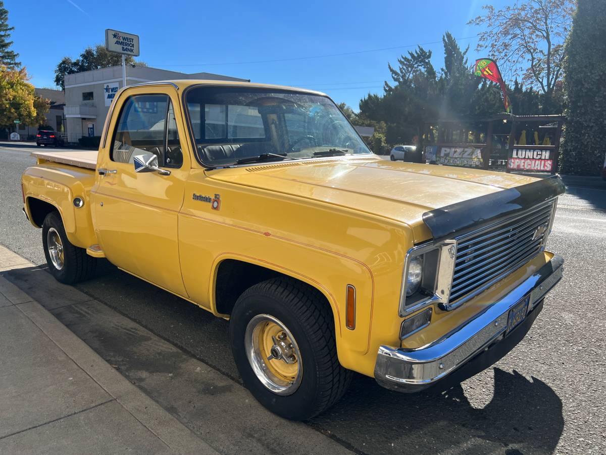 Chevy-silverado-1500-1978-9