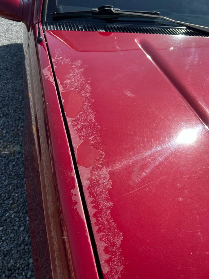 Chevy-silverado-1500-1988-red-15