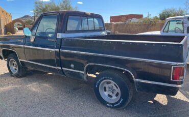 Chevy-silverado-1976-black-3