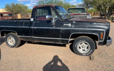 Chevy-silverado-1976-black-6