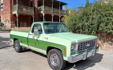 Chevy-silverado-1976-green-7