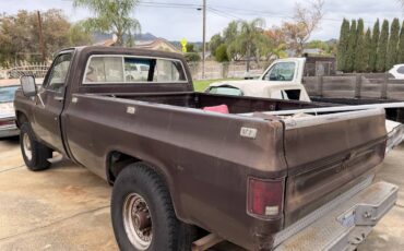 Chevy-silverado-1977-3