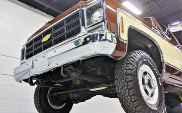 Chevy-silverado-k30-1979-brown-1