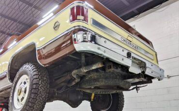 Chevy-silverado-k30-1979-brown-3