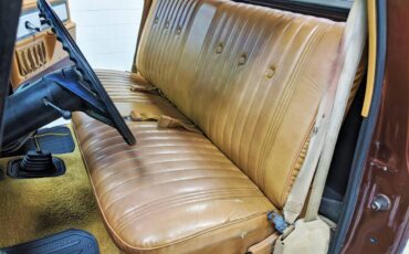 Chevy-silverado-k30-1979-brown-6