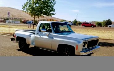 Chevy-stepside-1978-silver-4