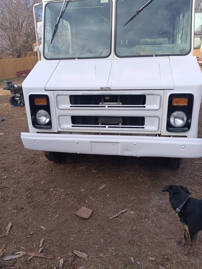 Chevy-stepvan-p30-1991-white-2
