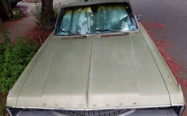 Chrysler-1968-green-19